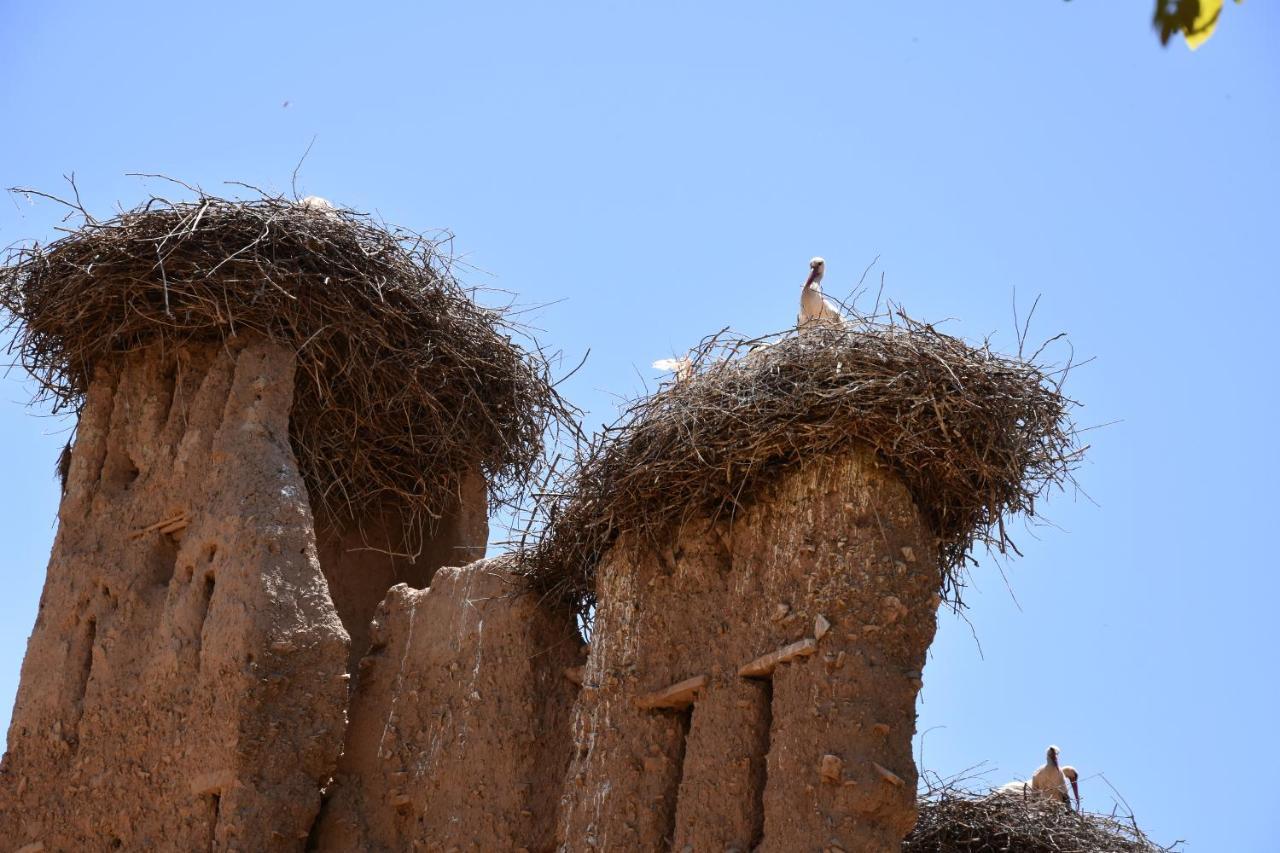 Maison D'hôtes Dar Afra Ait Ziri Extérieur photo